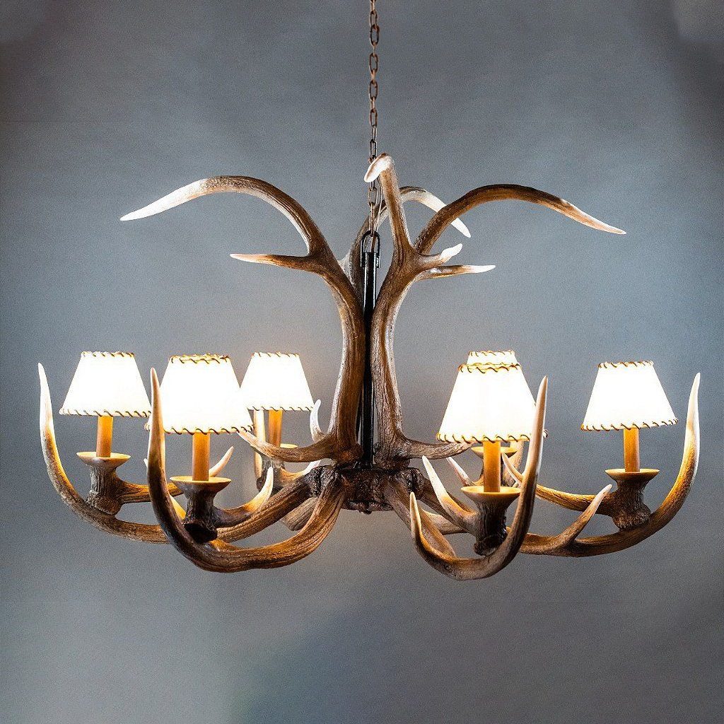Lustre Kentucky