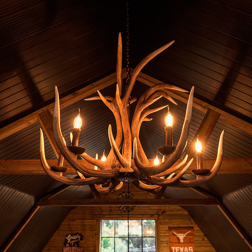 Lustre Kentucky