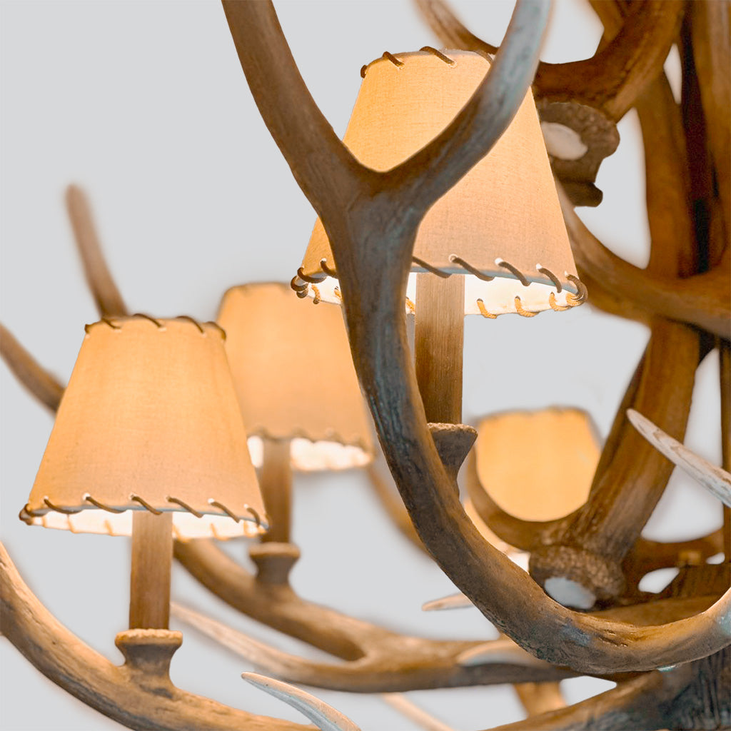 Lustre Alberta