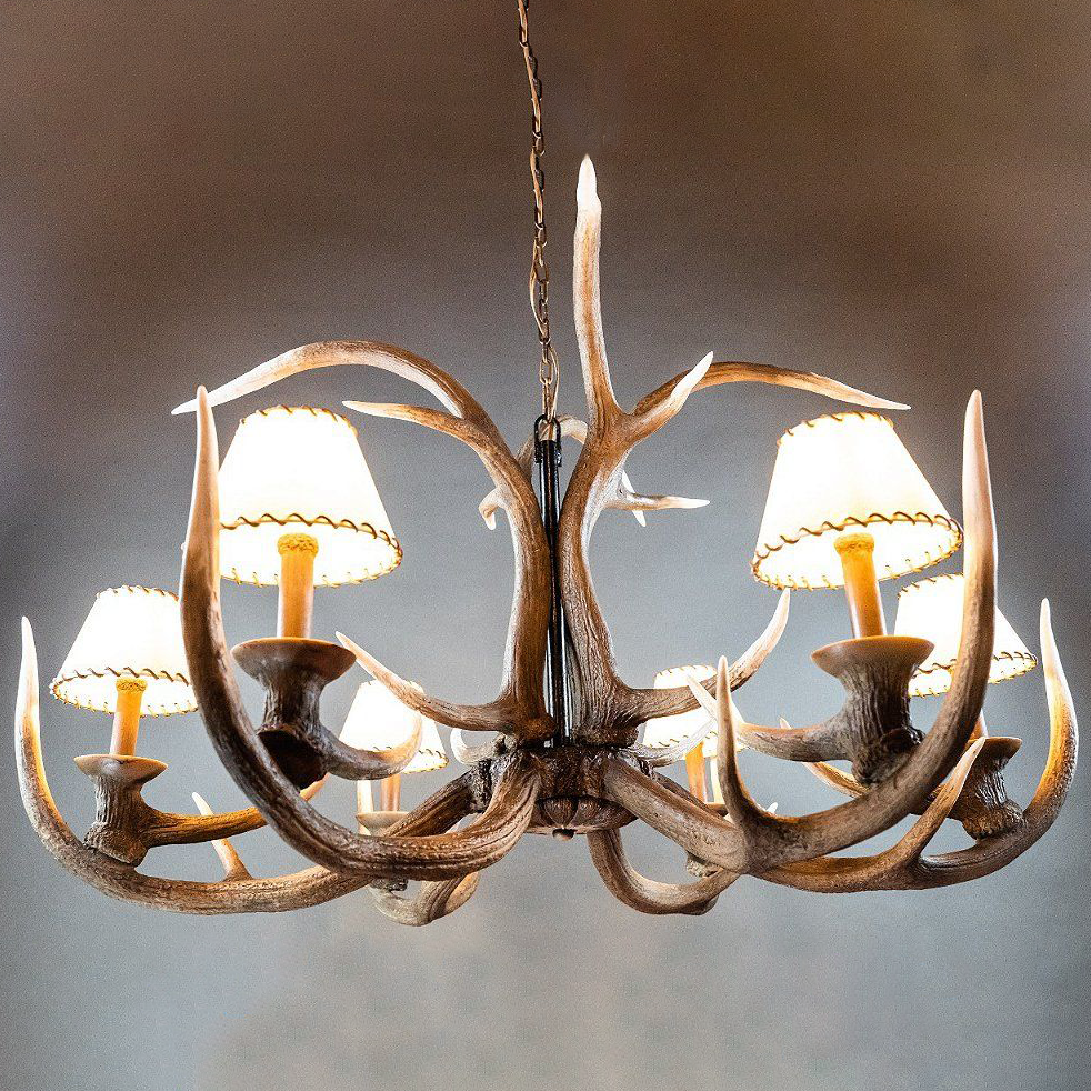Lustre Kentucky
